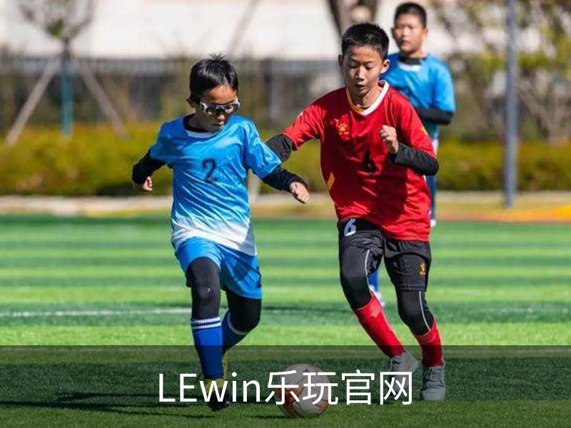 LEwin乐玩官网概况